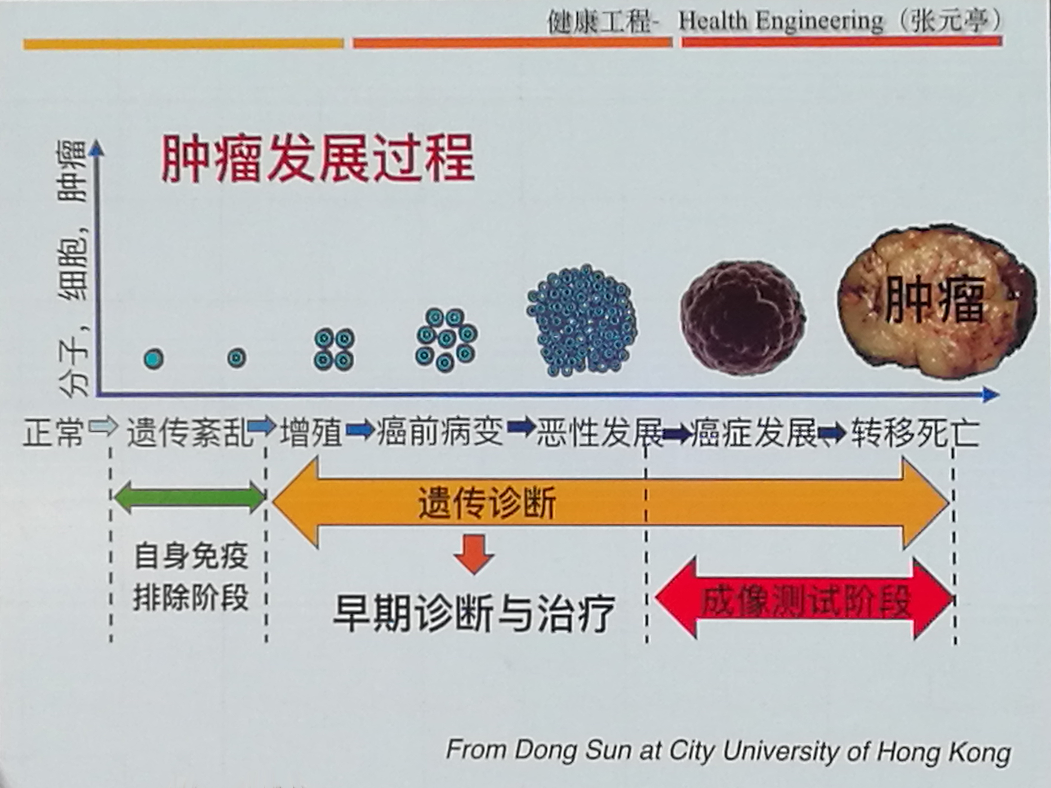 癌症的形成过程图片