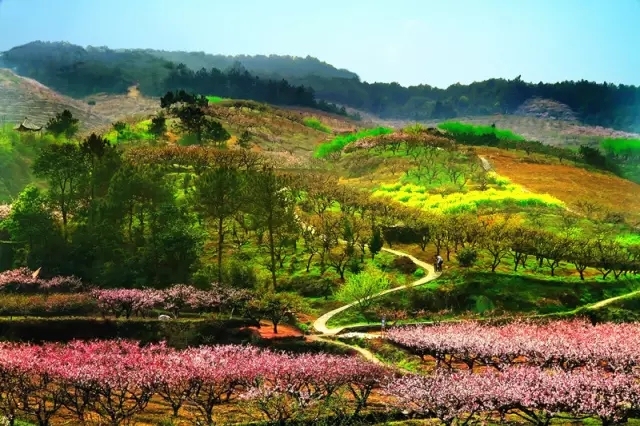 义乌上溪除了桃花坞黄山八面厅又有一个旷世美景住宅即将出世它就在