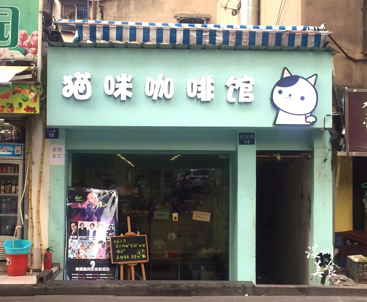 猫咪咖啡馆3店内提供很多美食饮品,进门购买一张撸猫券还送一杯英式