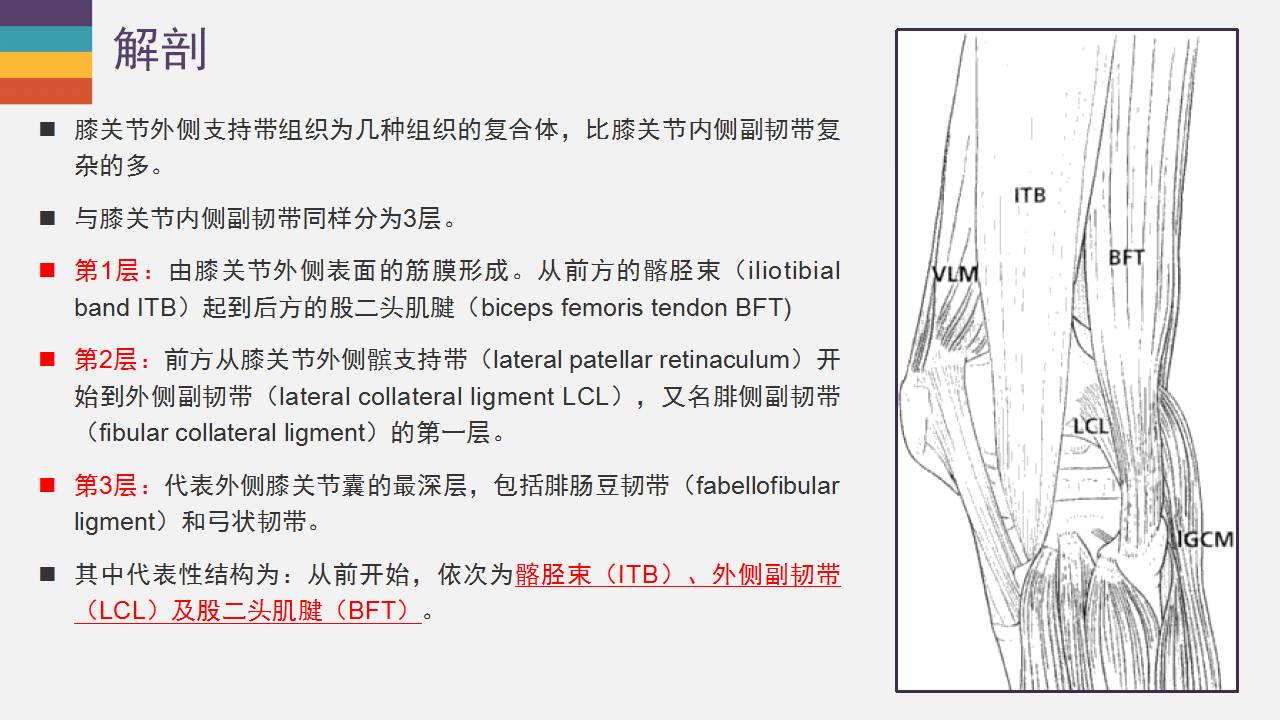 膝關節外側副韌帶及外側支持帶解剖及損傷mr診斷