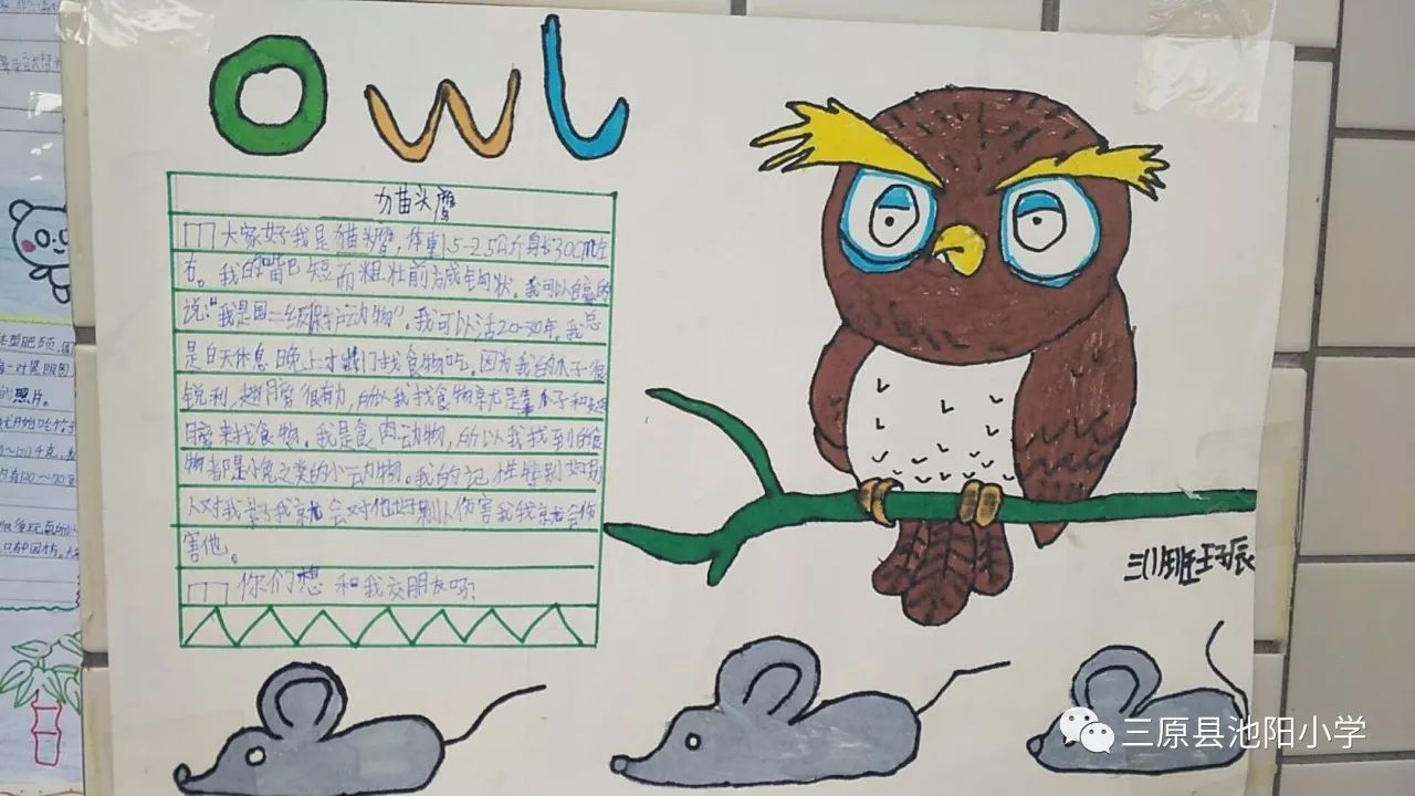 二年级动物介绍卡图片