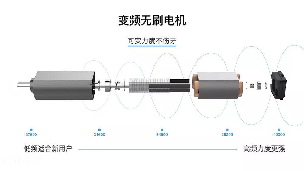 60天的续航小米生态链发布了一款电动牙刷