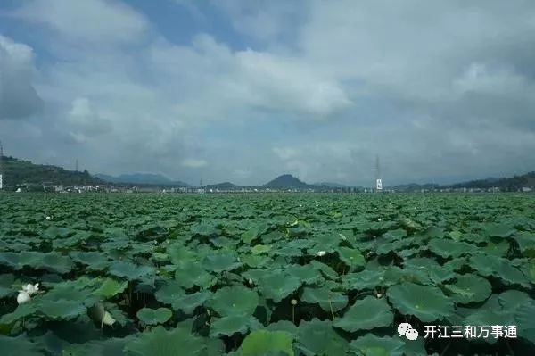 開江這個景區,新打造了一個景點,值得一遊,有一百餘米長喲!