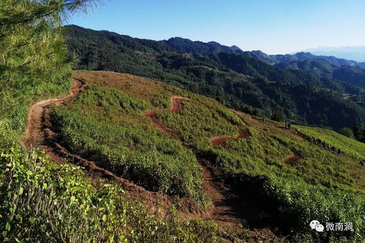 厉害word南涧国际山地自行车邀请赛将在无量药谷举行