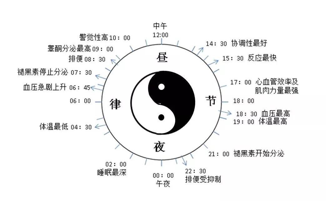 对于昼夜的交替和日常环境的变化能够通过内部的生物钟进行调节