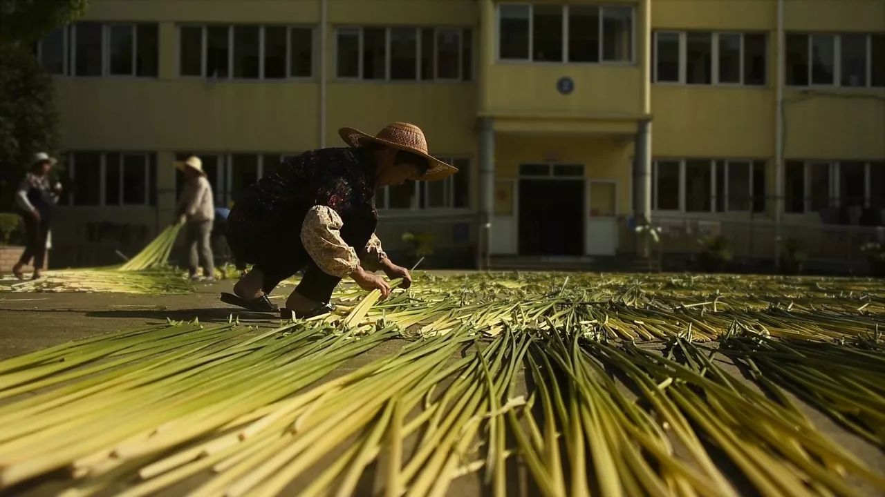 人物海上艺匠之甘丽娟