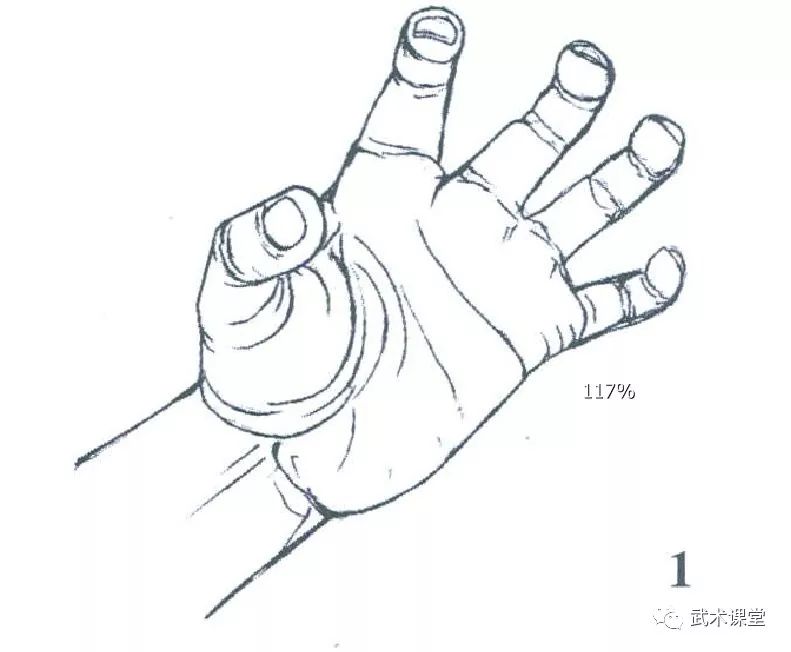 龙爪手型图解图片