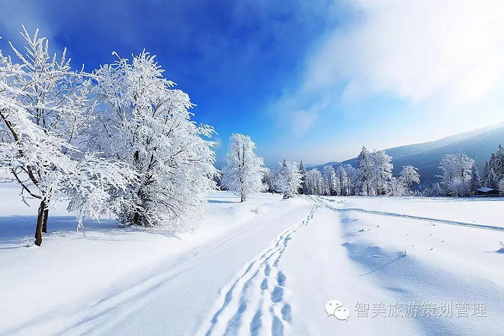 黑龍江雪鄉成冰雪旅遊代表 熱度暴漲84%【智美旅遊策劃 第1308期】