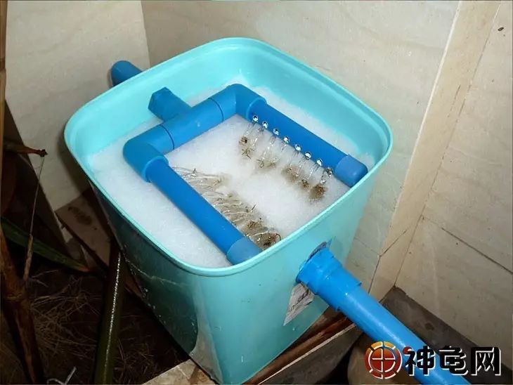 龟池缺个过滤系统推荐2款简单的自制滤水装置