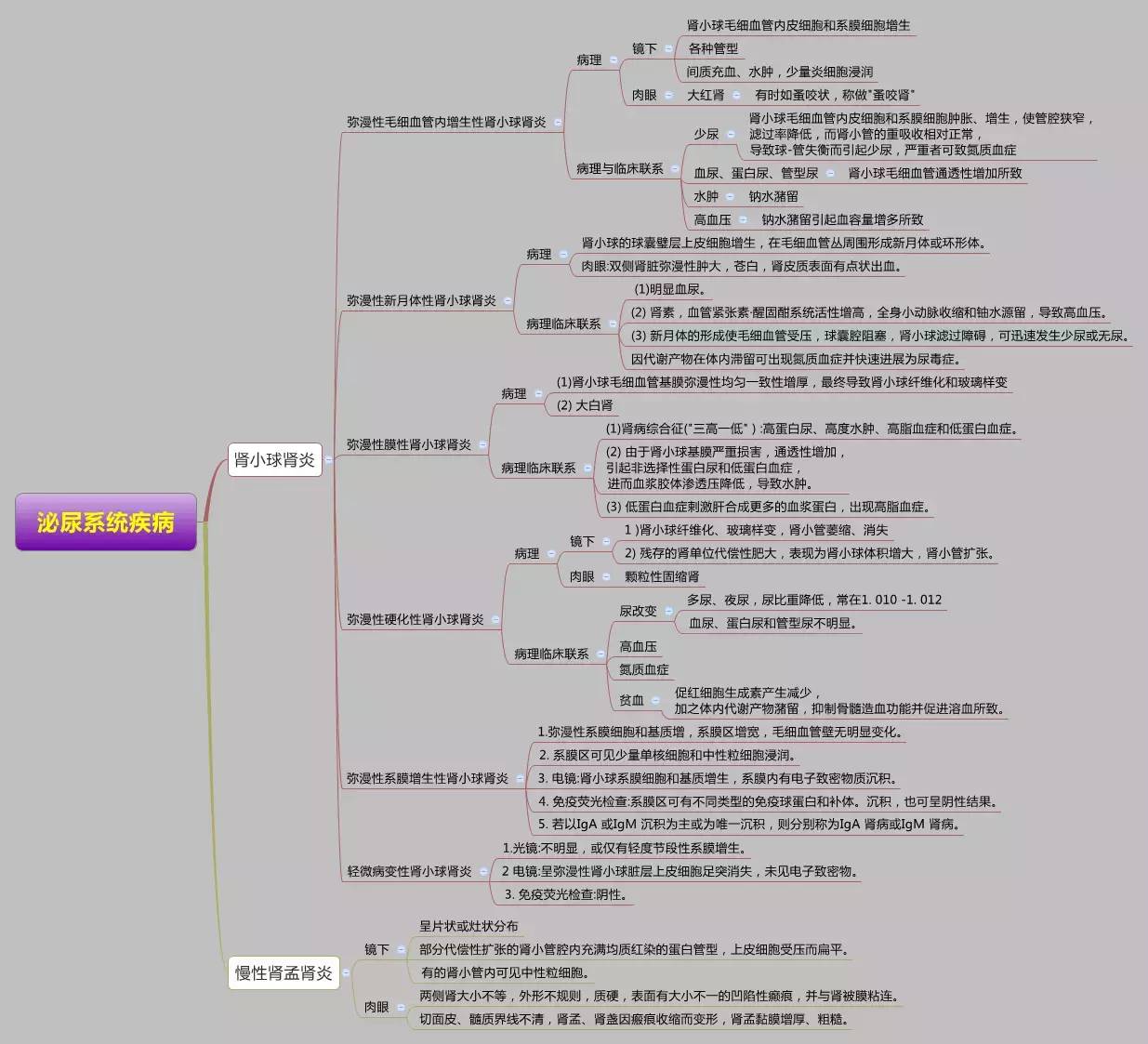 醫學思維導圖藥理學全套完整打印版免費下載