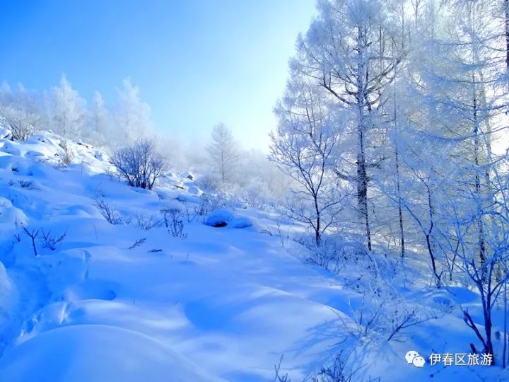 縣區旅遊▏南方媳婦第一次到伊春區婆家過冬是這樣的