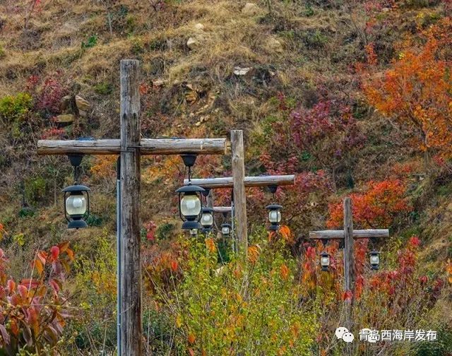 5億元 有力推動國花文化和丁氏文化