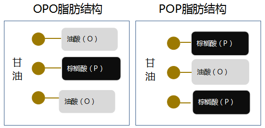 为什么母乳喂养的孩子不容易便秘?