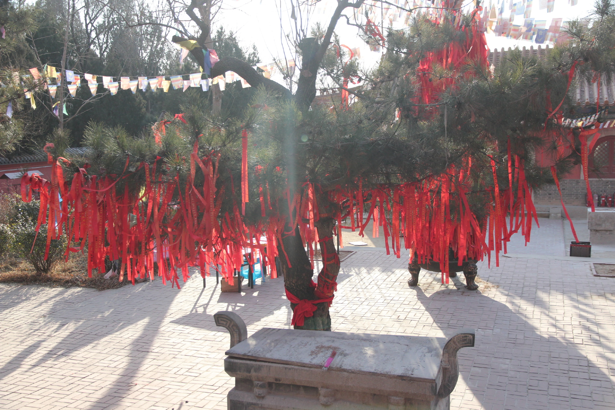 万佛禅寺果证法师图片