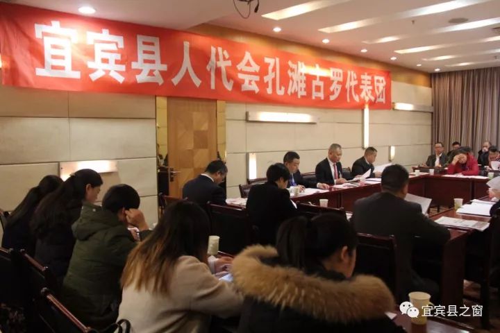 【聚焦两会】宜宾县第十六届人民代表大会第二次会议举行第二次全体