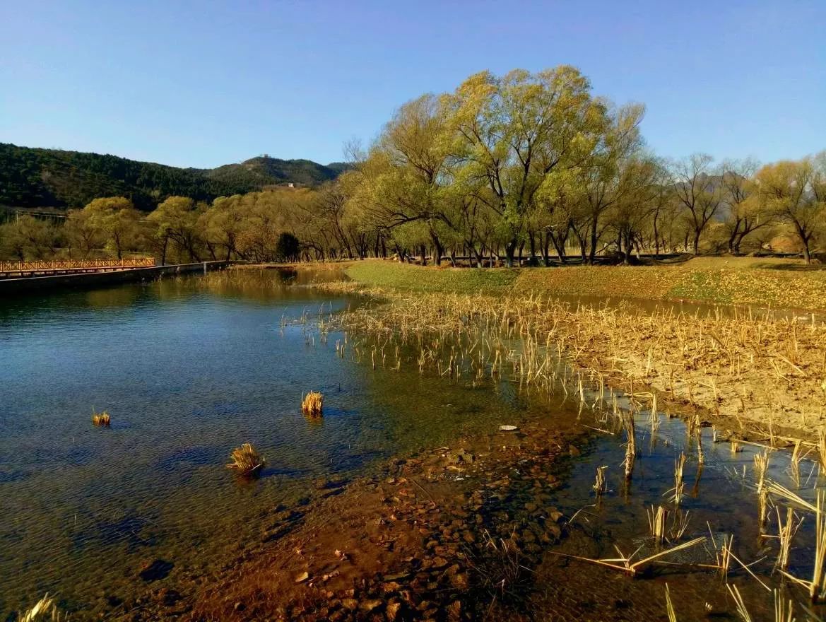 北京又雙叒叕新增一處免費公園比玉淵潭還大比南海子還有趣