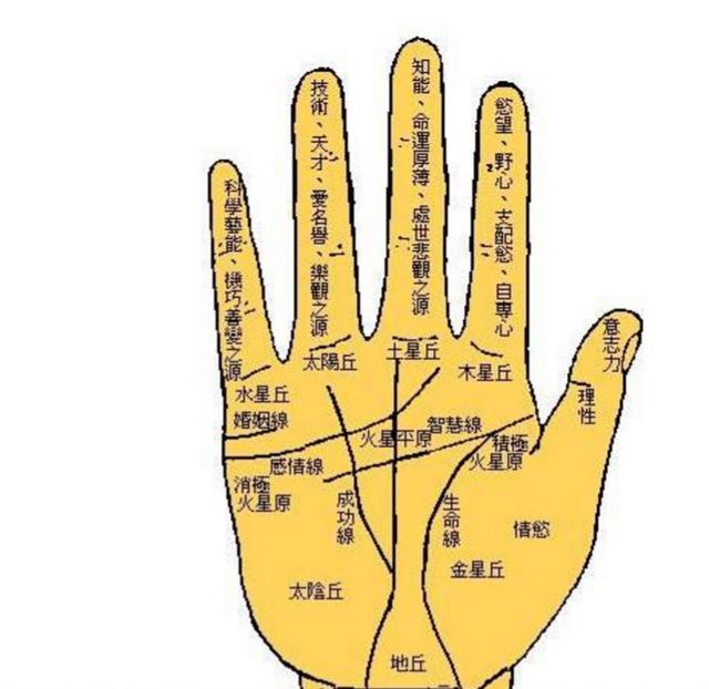 玄灵阁:手掌有这3条纹左手握权·右手握财