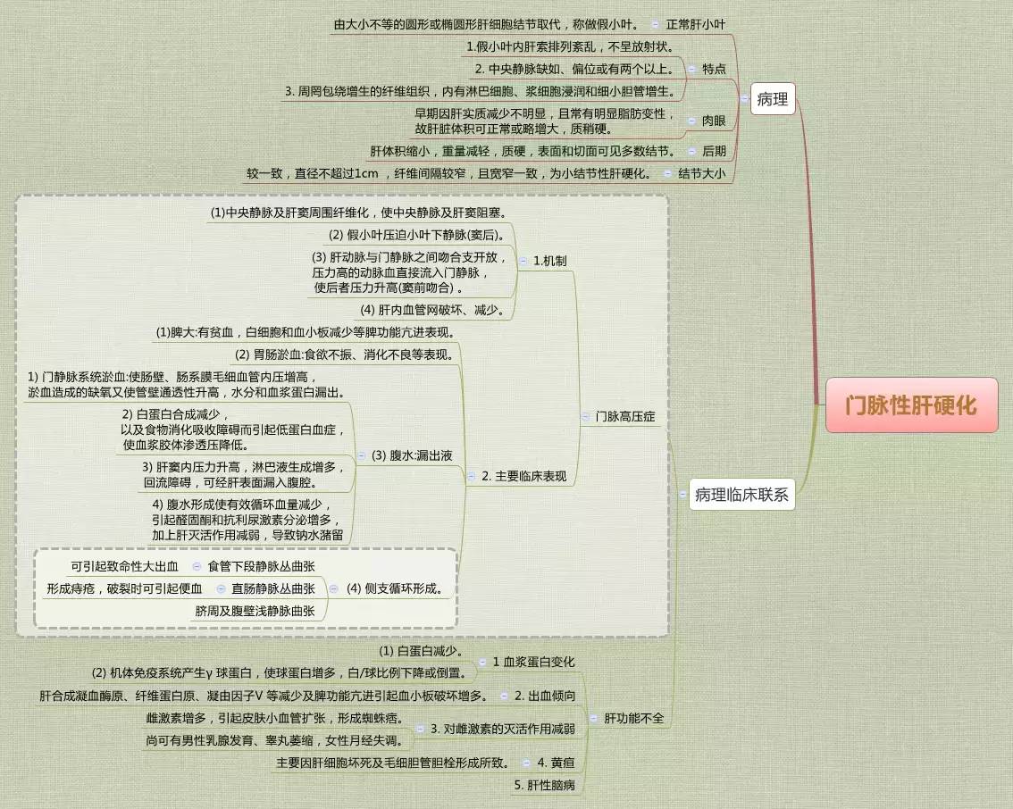 醫學思維導圖藥理學全套完整打印版免費下載