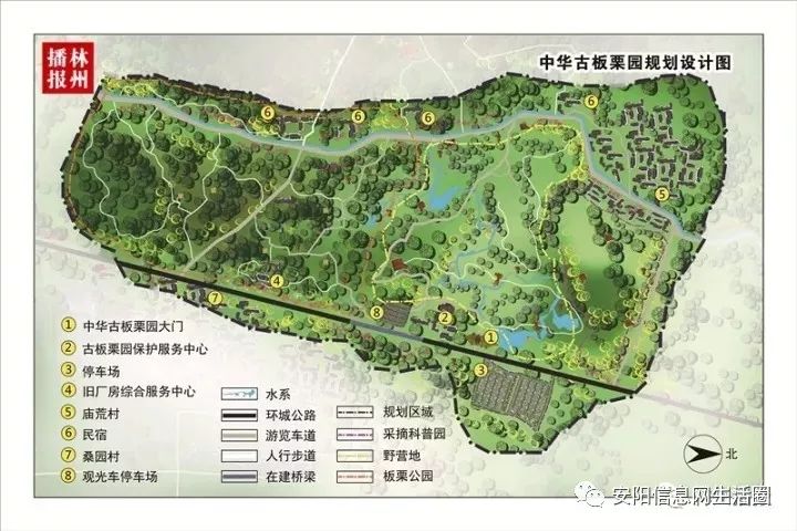 林州市总体规划图图片