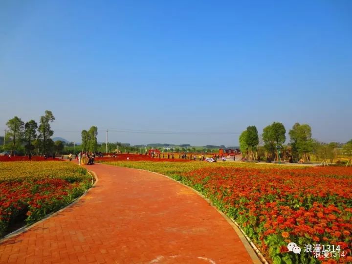 来宾市兴宾区旅游景点图片