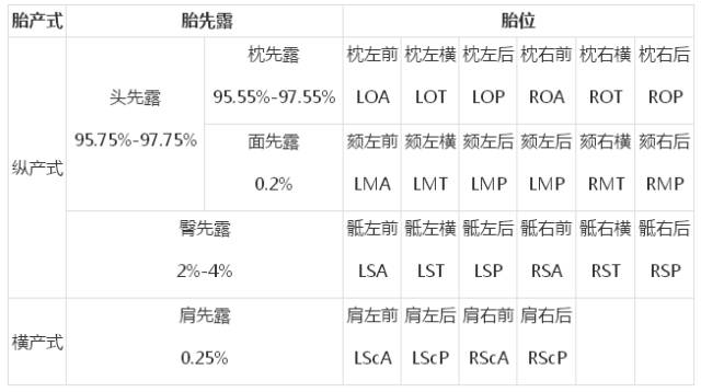 什么时候做胎位检查最合适