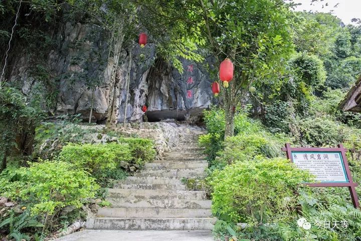 天等县岩林庄景区图片