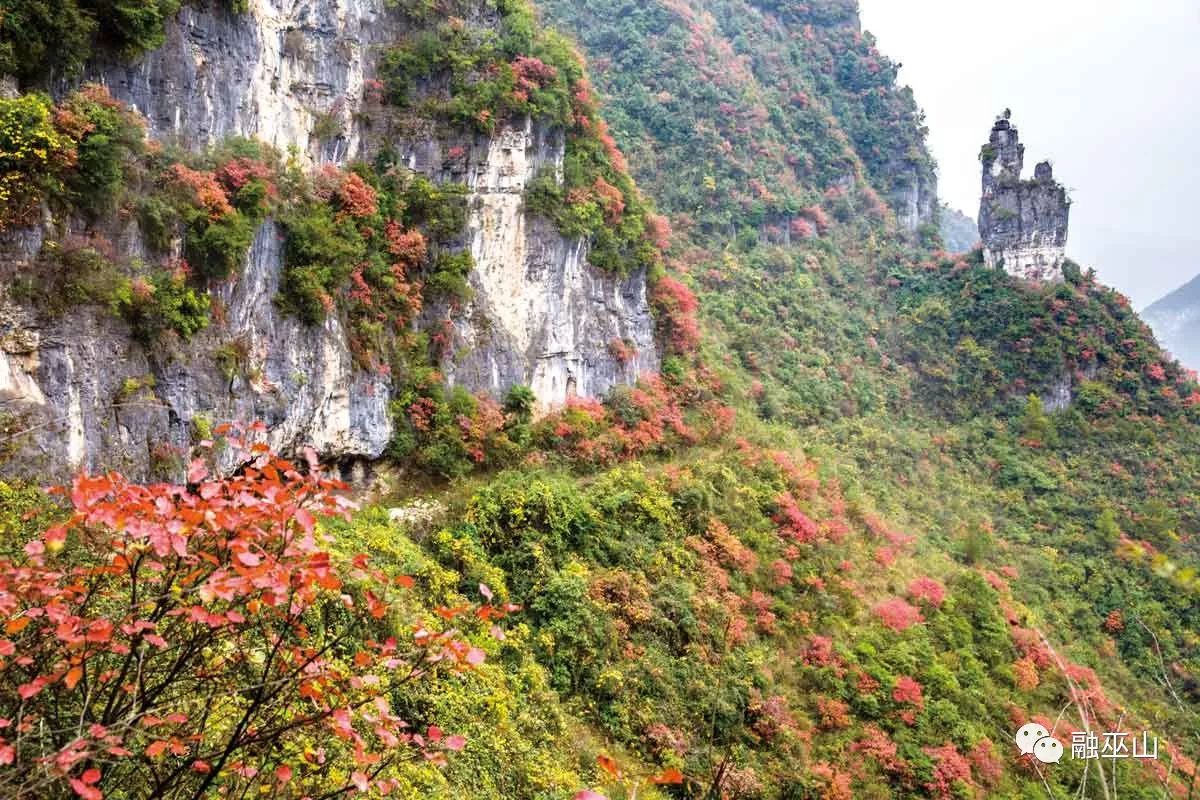 横跨错开峡口的大桥—吴剑波摄大溪乡打造的错开峡观景台-吴剑波摄