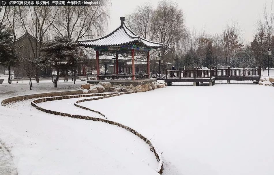 山西一夜跌进雪窟窿气温虐到不敢看雪景美到飞起来