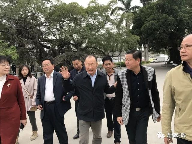 市委副书记林壮森带队到龙湖镇调研督导新农村示范片建设和精准扶贫