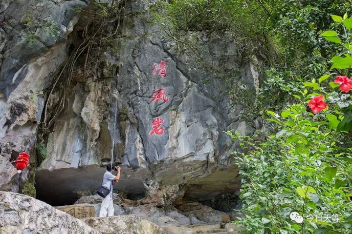 天等县岩林庄景区图片