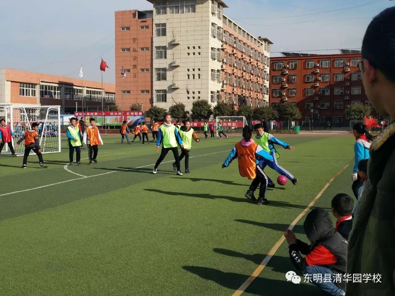 齐河清华园小学图片