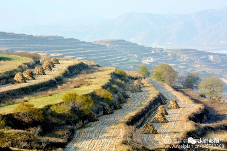 【图说彭阳】山塬秋色(四)