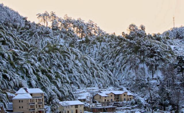 旅遊 正文 霧凇非冰非雪,形成的條件相當苛刻,既要求冬季寒冷漫長,又