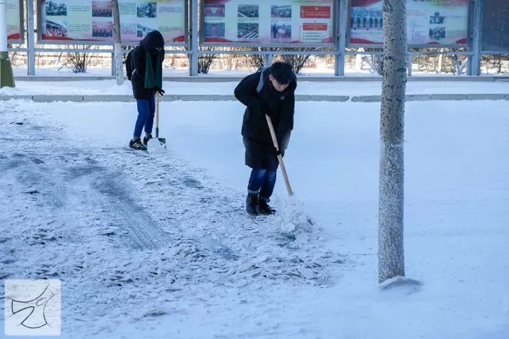 在东电的大雪纷飞里,陪你扫雪可否?