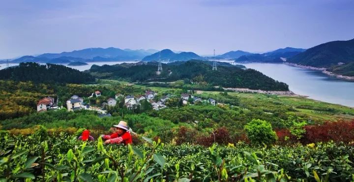 杭州閒林水庫,新昌欽寸水庫,寧波鄭徐水庫等一批水源工程相繼蓄水