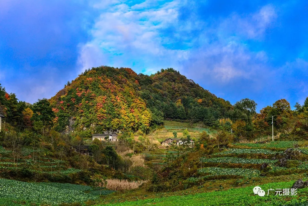 朝天区多彩曾家山图片