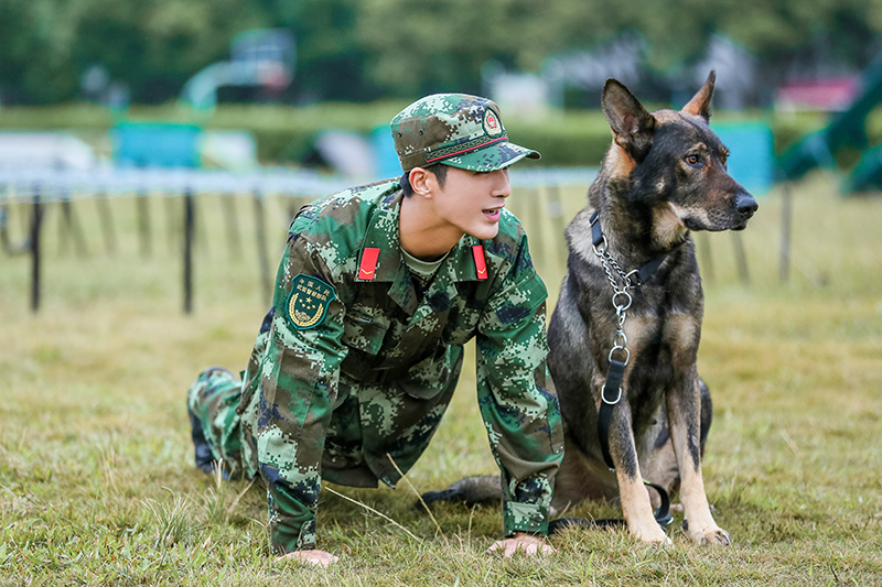 《奇兵神犬》姜潮砍价频闹乌龙 设卡训练上线神演技