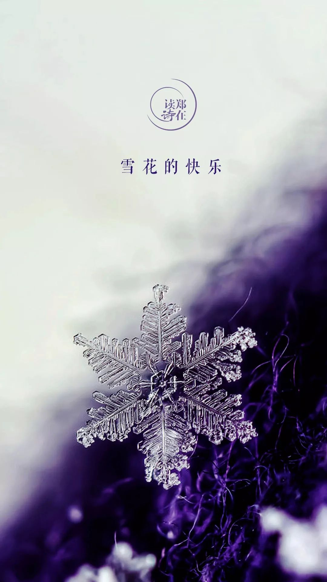 願每年的大雪紛飛裡都有人懂你梁晨鄭在讀詩雪夜特刊