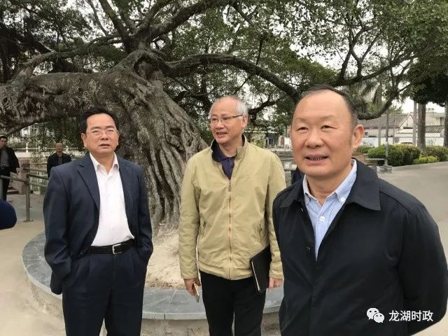 市委副书记林壮森带队到龙湖镇调研督导新农村示范片建设和精准扶贫