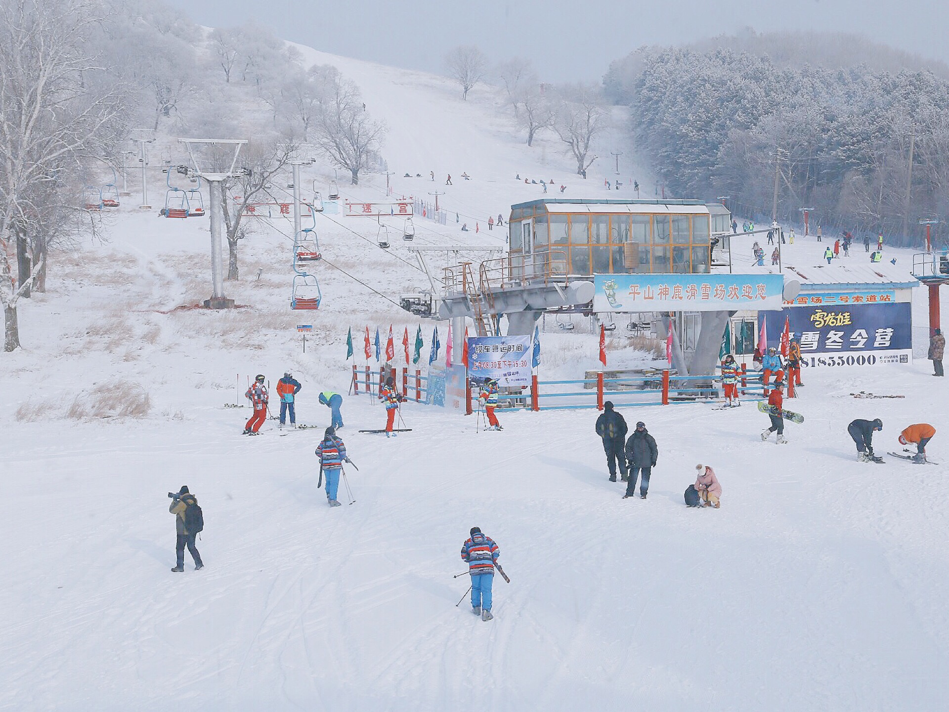神鹿图片滑雪场图片