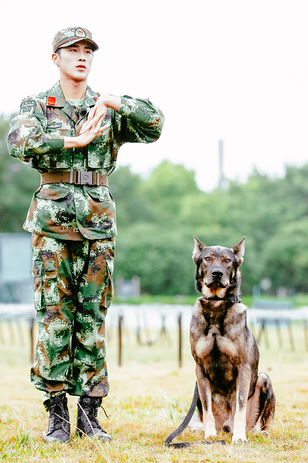 奇兵神犬姜潮图片