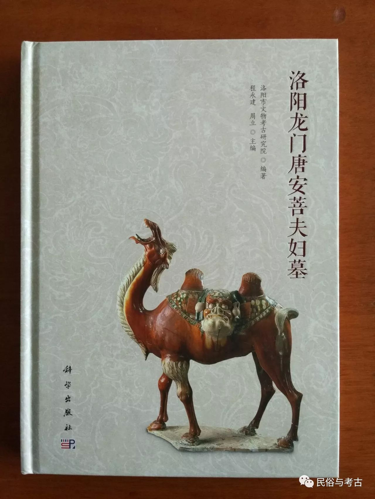 墓誌,它讓我們知道了這座墓的主人是唐朝的定遠將軍——安菩及其夫人