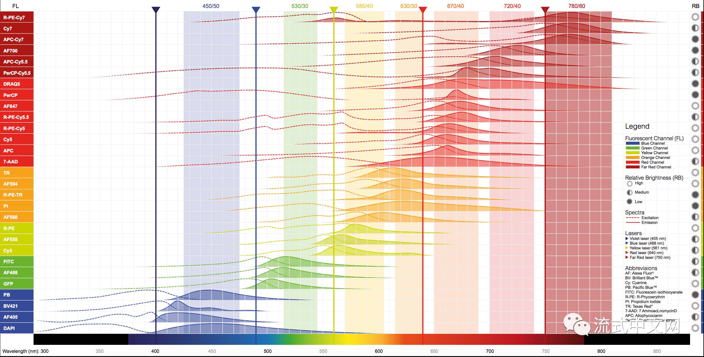 里面罗列了近30种荧光素的激发波长(虚线,发射波长(实线 实心波形)