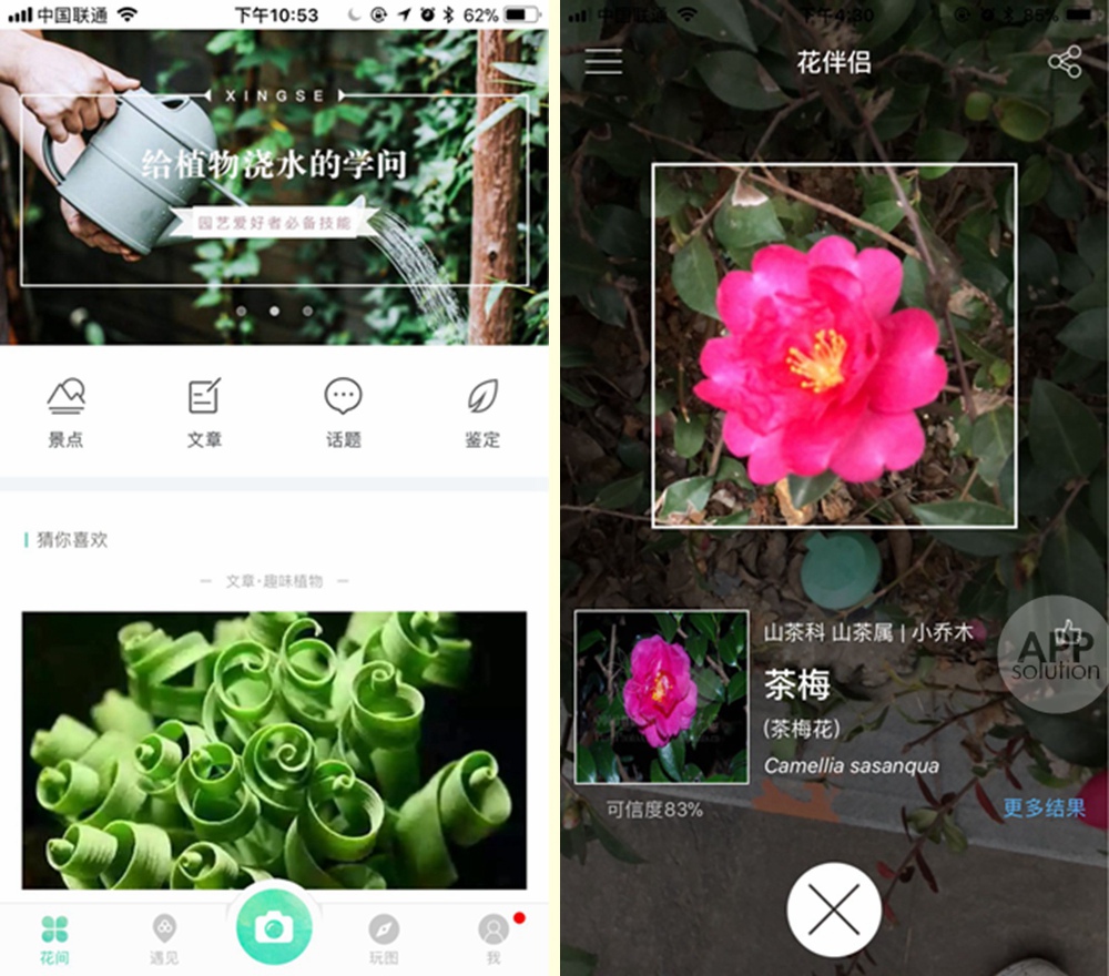 想知道那朵花的名字?试试用这三款 app 扫一扫