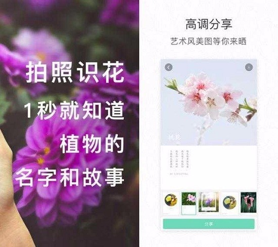 这几款功能强大的app 不说你知道吗