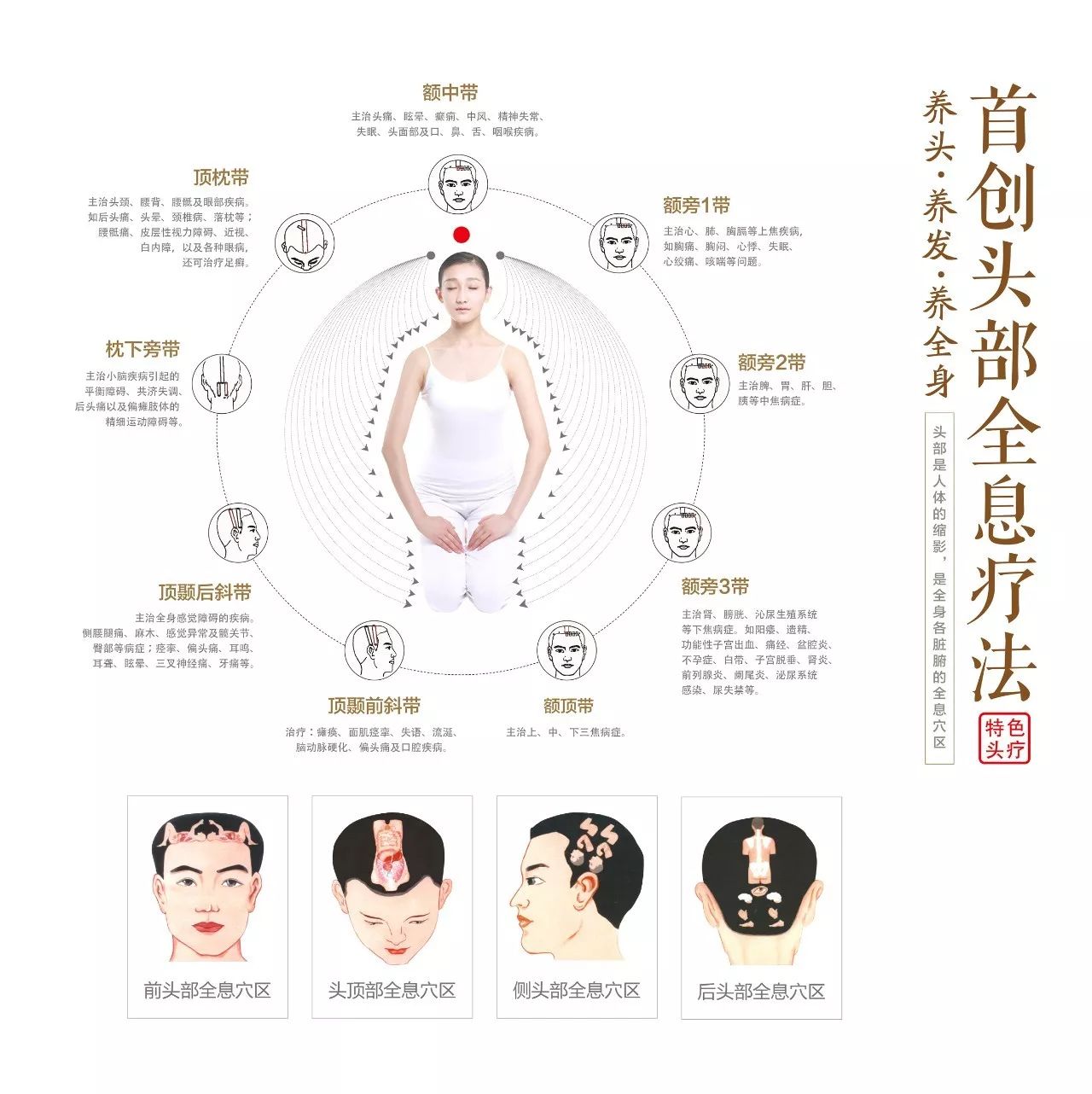 头部是整个人体最主要的反射区,人体重要的12经脉,奇经八脉和近50个