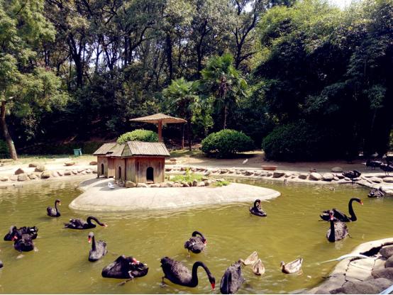 信阳南湾湖鸟岛信阳南湾湖鸟岛信阳南湾湖茶岛信阳南湾湖茶岛信阳南湾