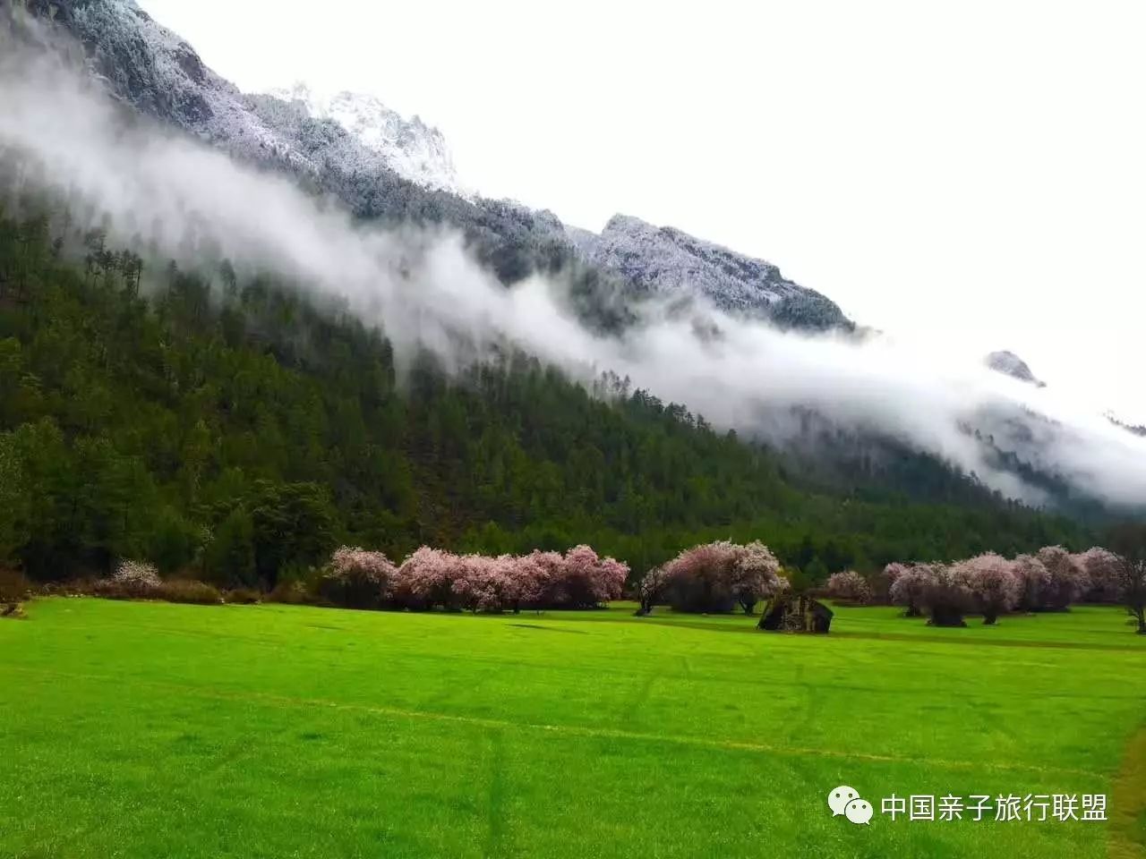 越過山丘崗鄉有中國最美的原始森林