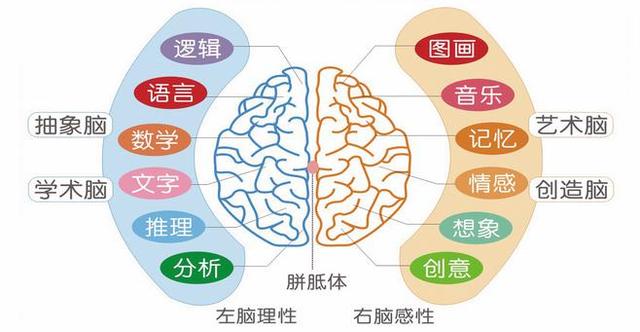 感统失调这个词对于很多家长来说还有点陌生,孩子一些失调表现也