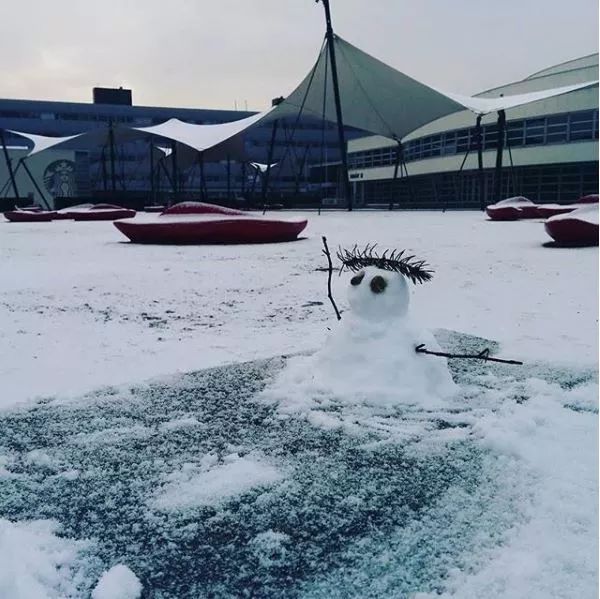 荷兰著名冰雪乐园特文特大学一日游攻略